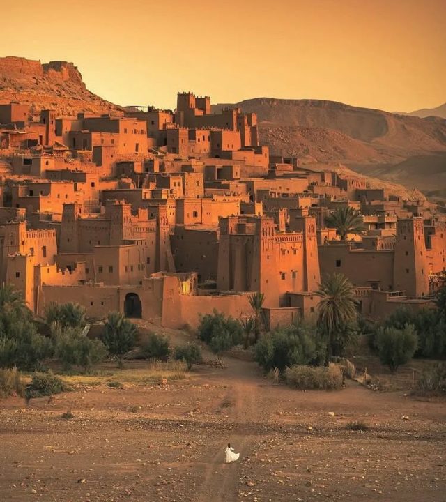 whatsapp image 2025 11 10 at 01.49.53