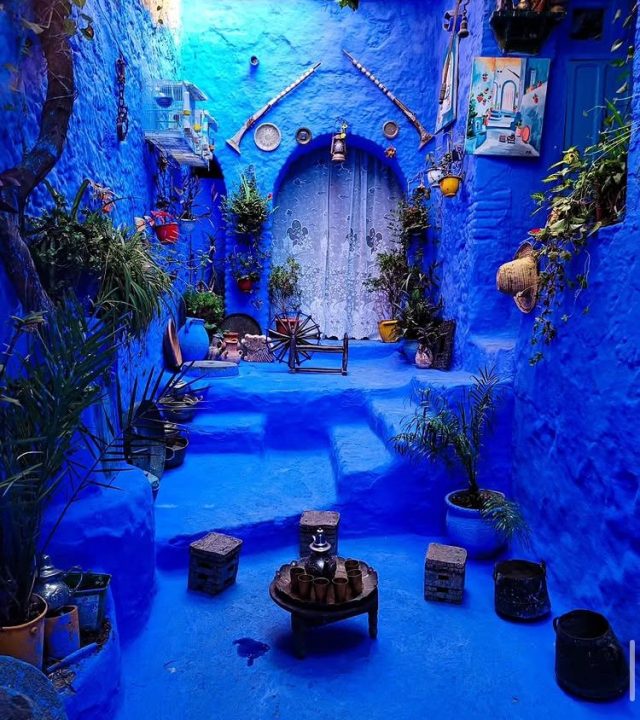 whatsapp image 2025 11 11 at 14.28.05