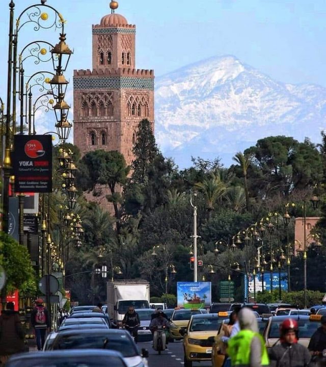 whatsapp image 2025 11 11 at 14.30.58