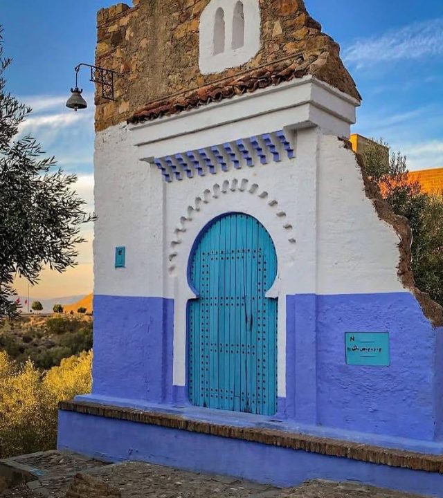 whatsapp image 2025 11 11 at 17.19.06