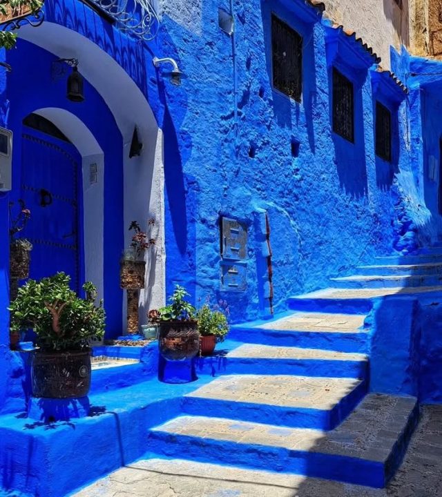 whatsapp image 2025 12 24 at 9.51.19 pm (1)