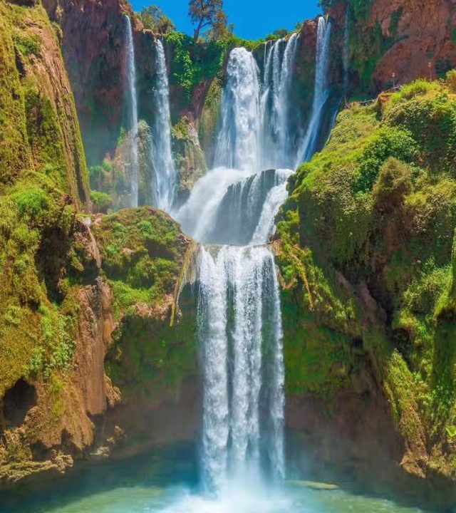 whatsapp image 2025 12 24 at 9.51.19 pm (5)