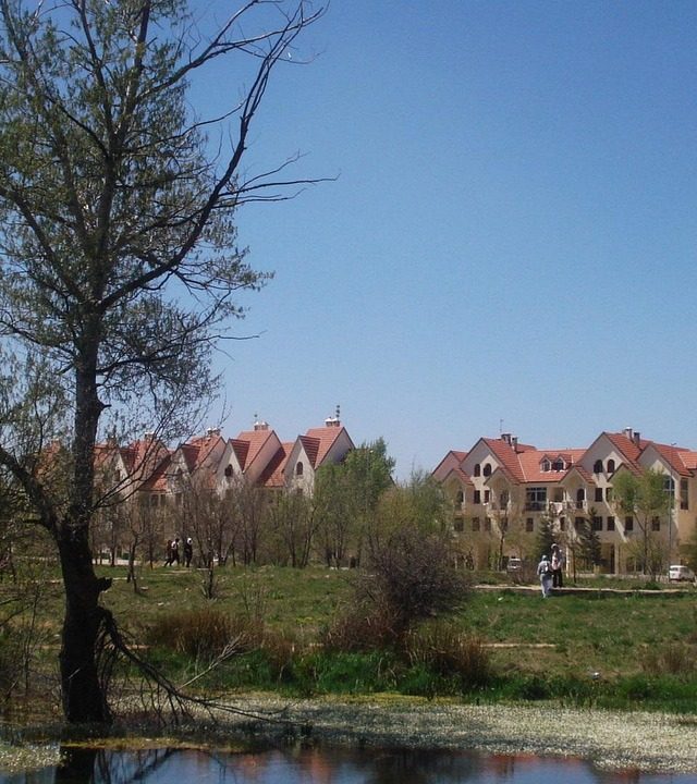 nature, ifran, morocco, ifran, ifran, ifran, ifran, ifran