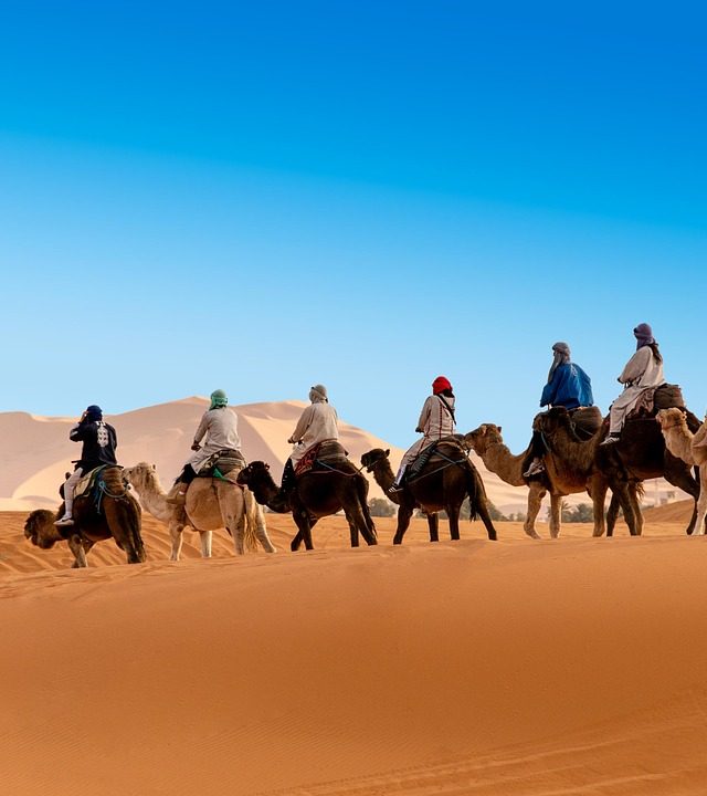 desert, the sand dunes, caravan, camel, berber, morocco, sahara, landscape, africa, sand, hot, nature, adventure, dune, drought, sky, peace of mind, marroc, travels, tourism, mood, erg chebbi, merzouga, camel, morocco, morocco, morocco, sahara, merzouga, merzouga, merzouga, merzouga, merzouga
