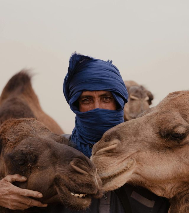 A Moroccan man with camels in the desert, wearing a blue headscarf, captures cultural essence.