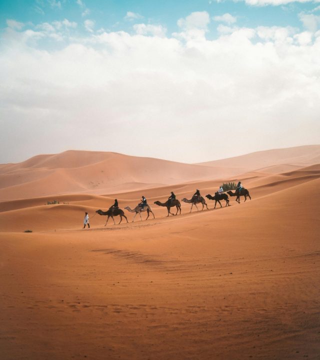 A camel caravan traverses the vast sand dunes of Al Wahat Al Dakhla Desert under a blue sky.