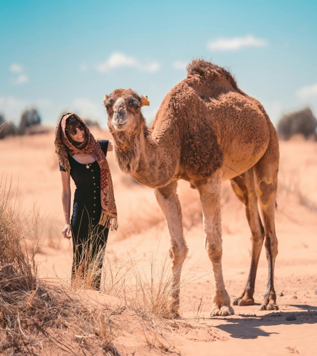 A woman and camel in the sunlit dunes of Merzouga, Morocco.