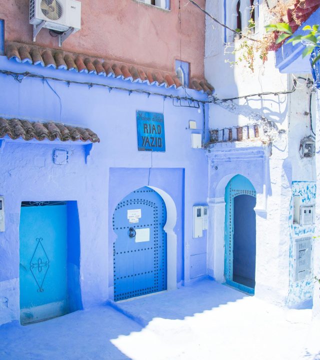 Blue exterior of house with doors located under sunlight on street with green plants in city of Morocco in summer